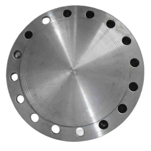 Stainless Steel 310 Flanges Size 15 to 450 MM NB